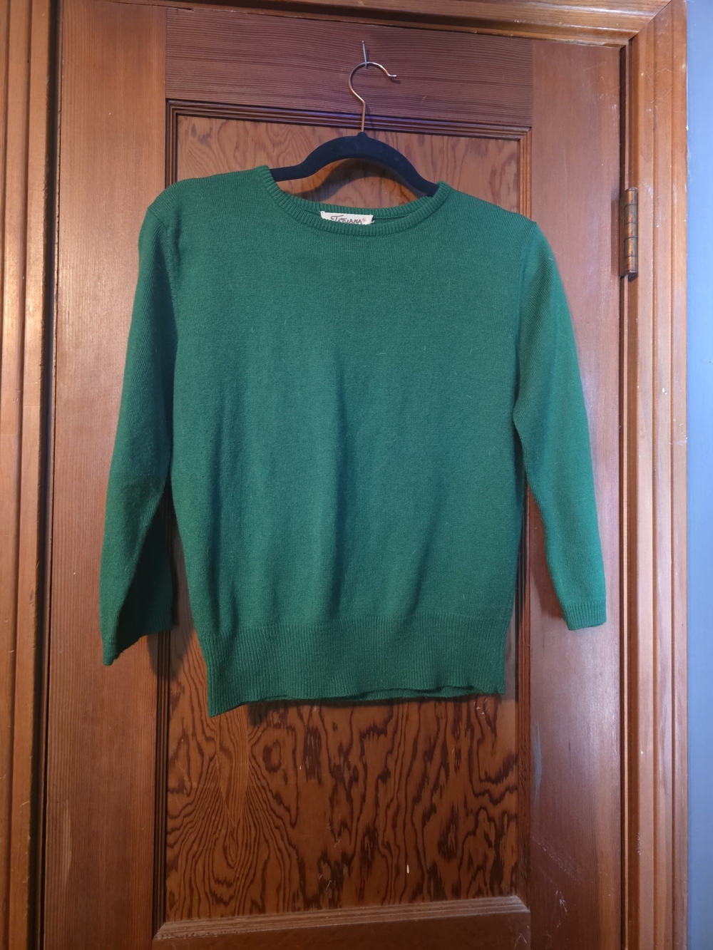 Tatyana Retro Green Crop Sweater
